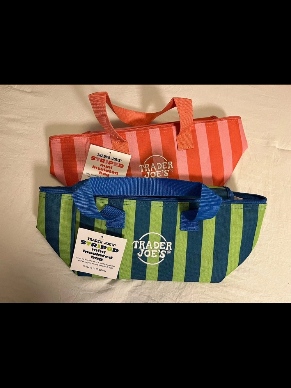 Trader Joe’s Striped Insulated Lunch Bag - Green & Blue; limited and New w/ tags